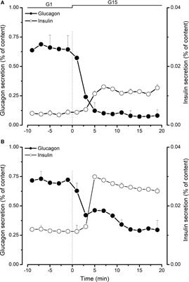 In vitro assessment of pancreatic hormone secretion from isolated porcine islets